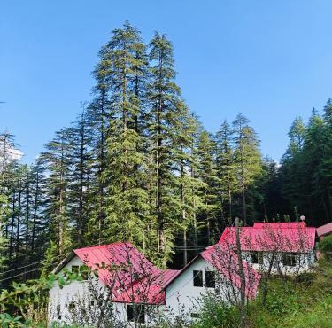 Mistymountaincottage