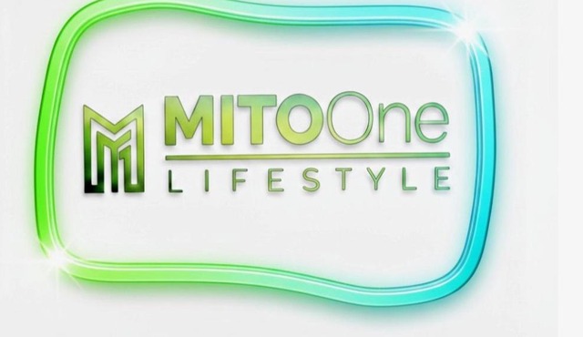 MITOOne