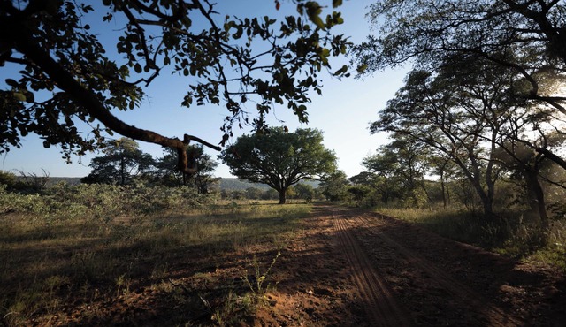 Mmakuba Private Game Lodge, Two Bedroom Villa 2