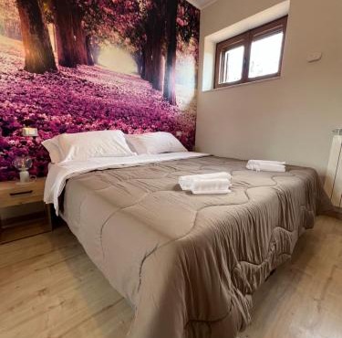 Mo'sci Rooms
