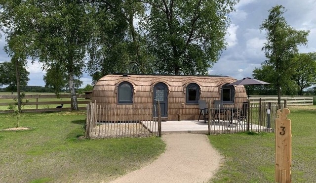 Mobile home for 4 guests with 19m² in Bahrenborstel (157438)
