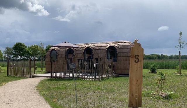 Mobile home for 4 guests with 19m² in Bahrenborstel (157440)