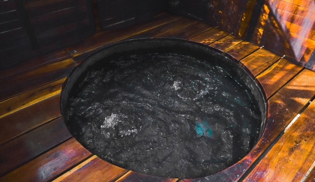 Mobile Home with Jacuzzi