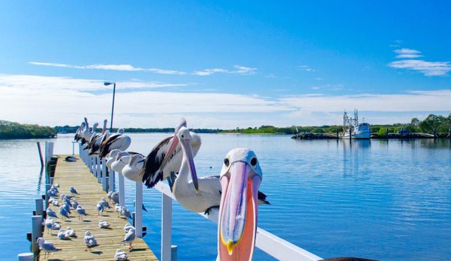 Moby Dick Waterfront Resort Motel