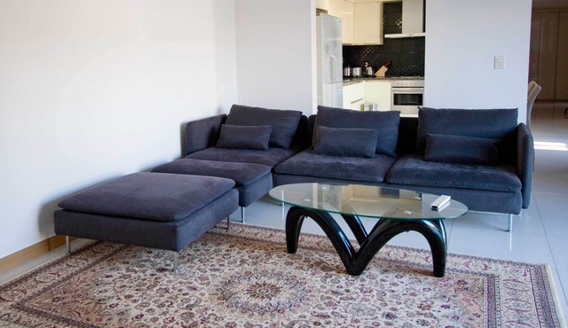 Mod Lux Spacious 3 bd with Great View and Parking