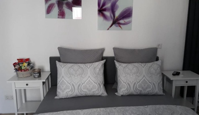 Moderm Basement Apartment
