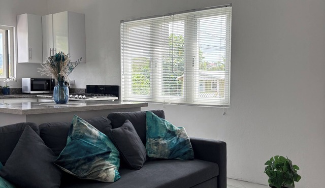 Modern 2BD Aqua Apt with a stunning rooftop patio for sunbathing/relaxing, BBQ.