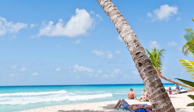 Modern 3-Bed Condo by Dover Beach - Terraces 201