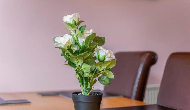 Modern 4-Bed Serviced Apartment- Free Parking Wi-Fi - Near CBS Arena -M6 -UHCW