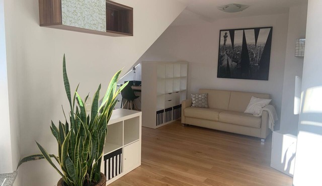 Modern 50 sqm apartment with living room, bedroom and balcony