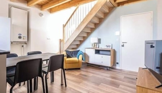 Modern air-conditioned apartment with large terrace in central Pau