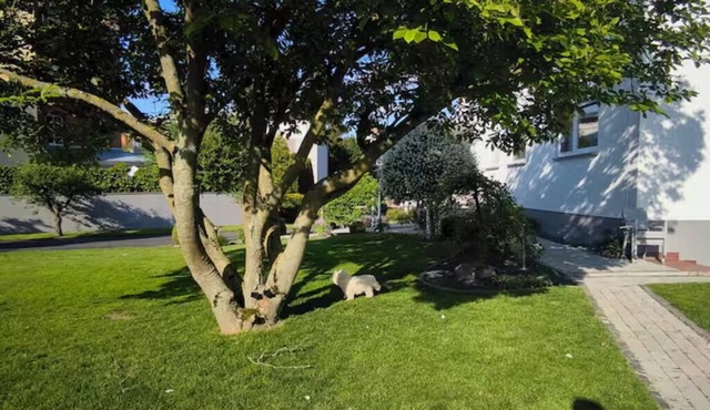 Modern and bright basement apartment with good connections