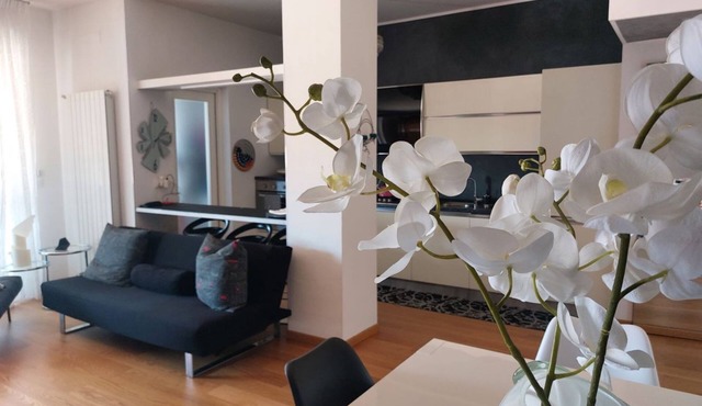 Modern and bright flat on the third floor with lift and livable balcony a few minutes' walk from the sea . The flat is located in a nice residential area of Viareggio next to the pine forest and a few minutes walk from all services and the beach. It cons