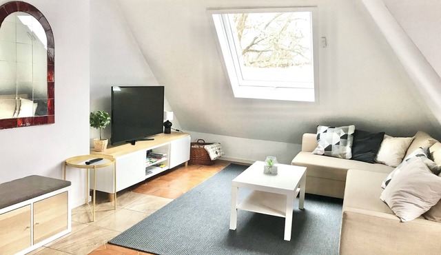 modern and comfortable apartment in Heidelberg