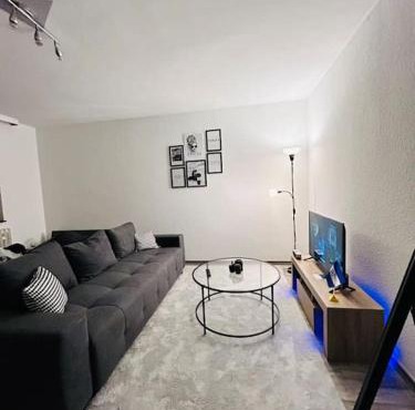 Modern and cozy 1 bedroom apart.
