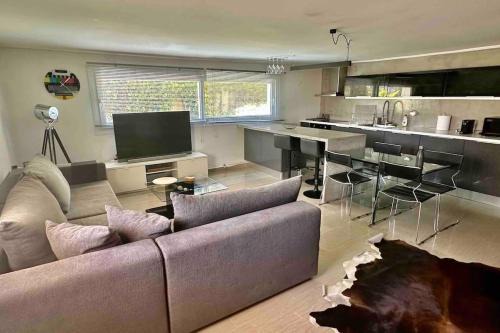 Modern and cozy apartment