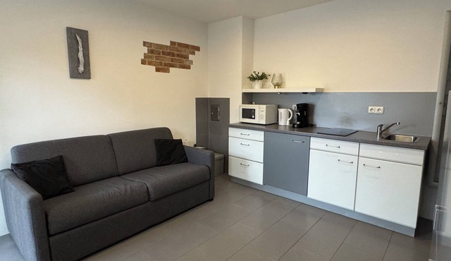 Modern apartment at the Minoritenhof