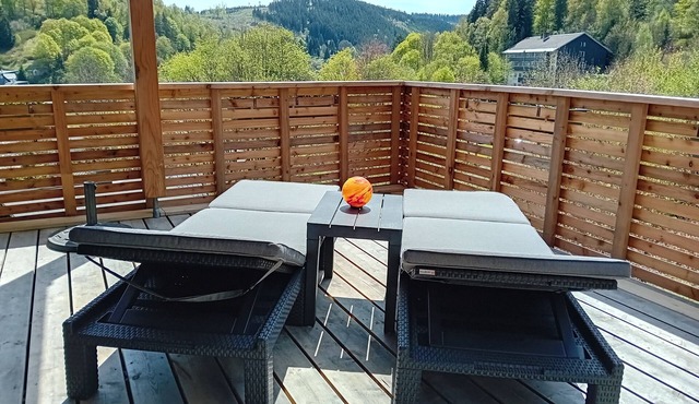 Modern apartment (B) with a beautiful view - enjoy nature and the Christmas town!