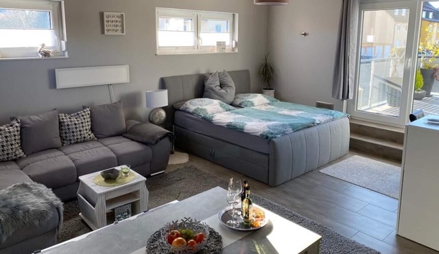 modern apartment with a beautiful roof terrace