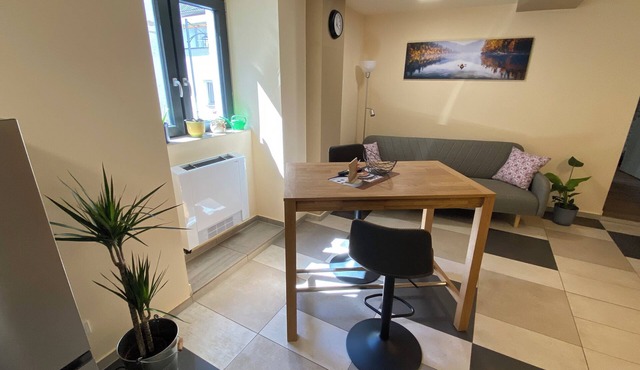 Modern apartment for vacation and work