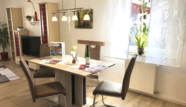 Modern apartment in a central location