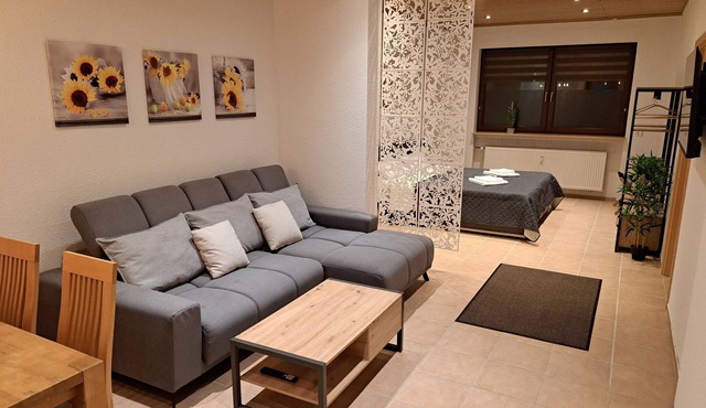 Modern apartment in Oberbexbach, for up to 5 people, with desk & parking space