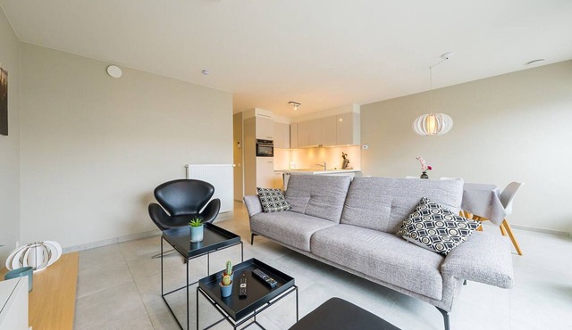 Modern apartment with spacious terrace
