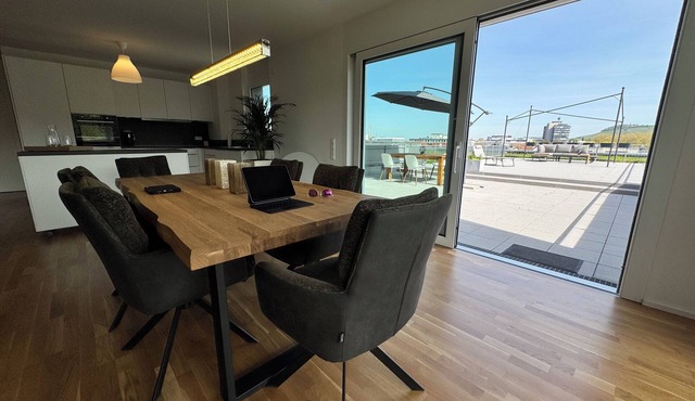 Modern apartment with large roof terrace directly on the Neckar