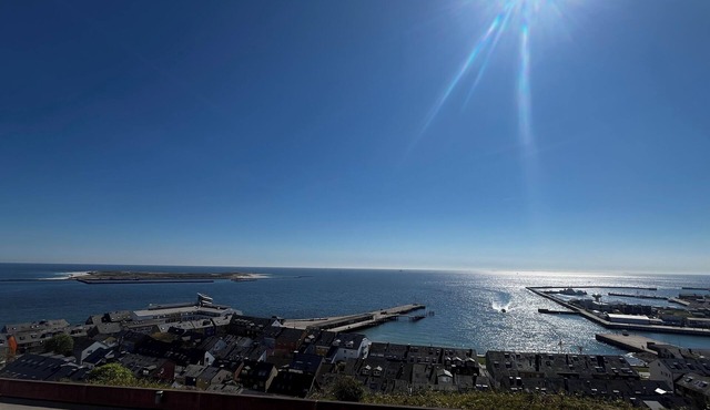 Modern apartment with a wonderful direct view of the dune and North Sea
