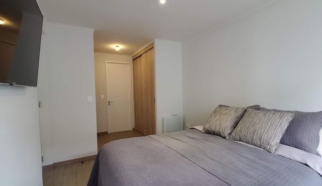 Modern Apartment with Rooms in Suites in Downtown Temuco