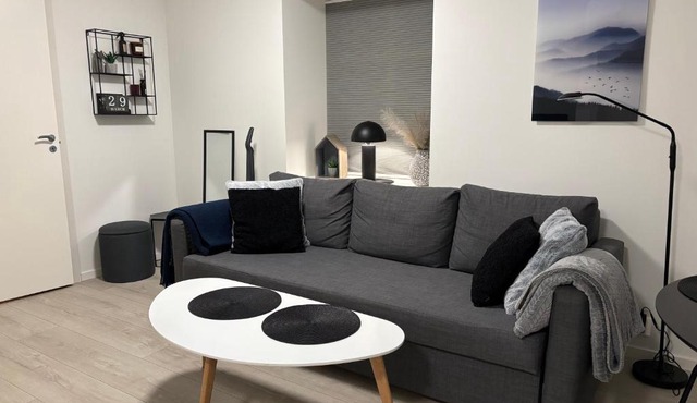 Modern Apt - Steps from Grieghallen and Trainstation