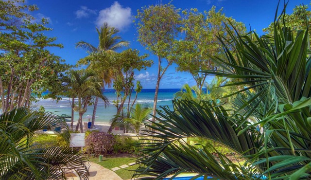 Modern Beachfront Condo with Pool - Sapphire 104