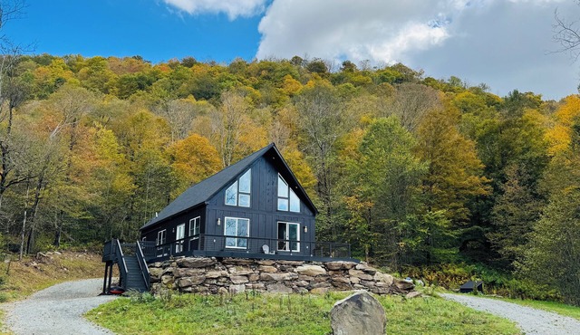 Modern Black-Clad Chalet 3BR/3Bath with Private Pond in Callicoon Center