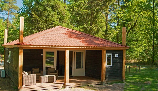 Modern Cabin-Style Bungalow