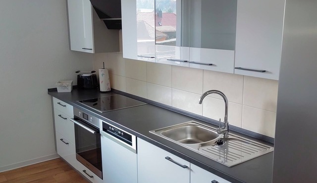 Modern, centrally located vacation apartment in Ebersbach/Oberlausitz