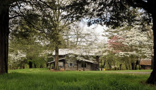 Modern comforts in an 1860's log cabin nestled in the Appalachian Foothills.