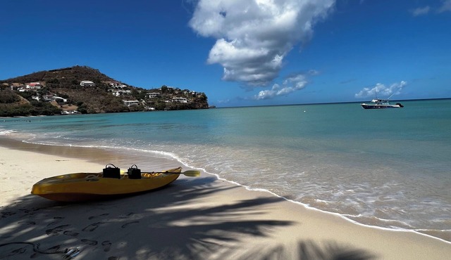 Modern Condo w/Panoramic Views Walking Distance Between Grand Anse & BBC Beach