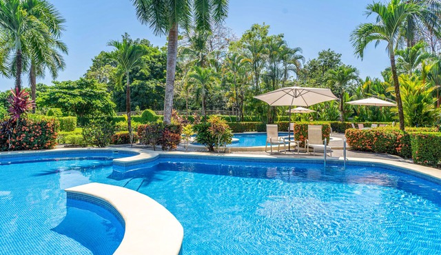 Modern dog-friendly condo, AC, high-speed WiFi, and pool access