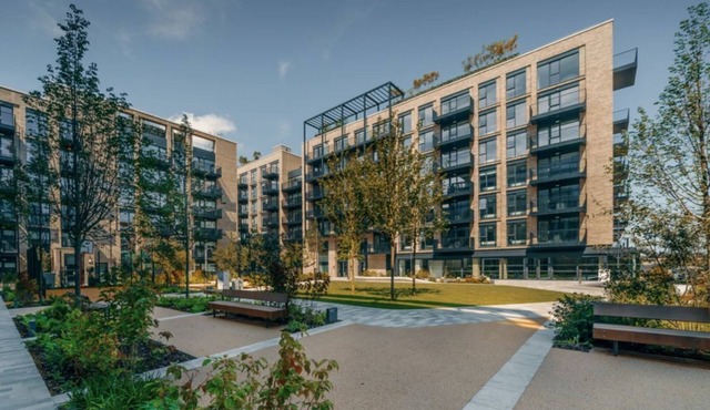 Modern Dublin 1BR with Excellent Location