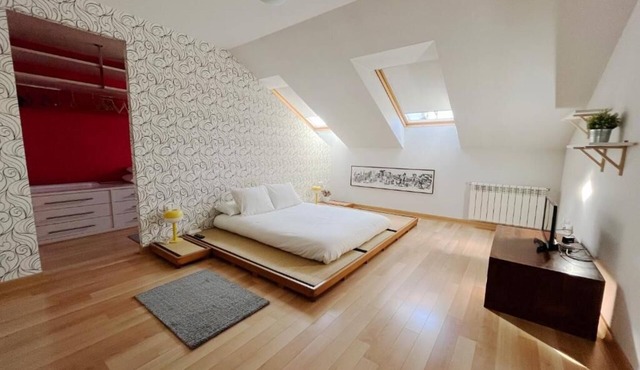 Modern duplex apartment in the city center.