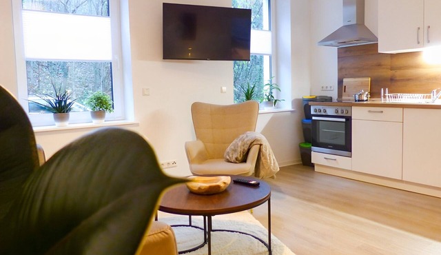 ※Modern flat, queen size bed, NETFLIX, kitchen, near AMEOS※