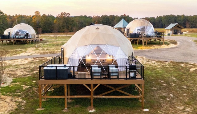 Modern Geodesic Dome: Hot Tub, Seclusion, & Lake Views