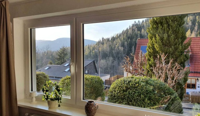 Modern holiday apartment with a wonderful view in the romantic town of Lautenthal