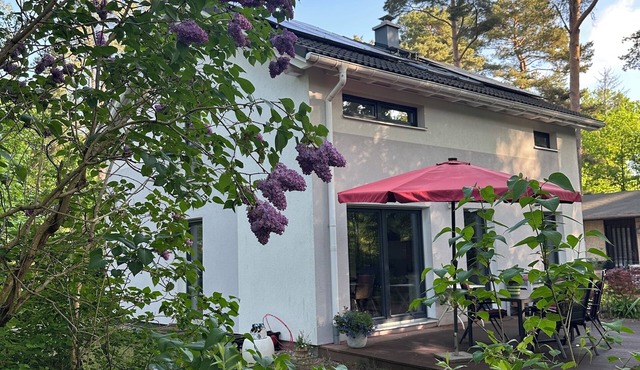 Modern holiday home in the Berlin countryside 100 m to Wandlitz and Liepnitzsee