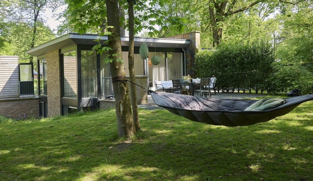 Modern holiday home in a wooded area