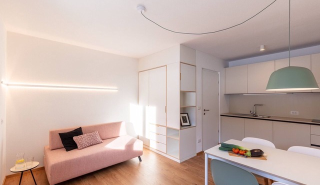 Modern "Hus Apartment - Nr. 3" with Balcony, Garden & Wi-Fi