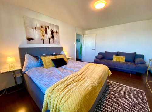 Modern Lakeview Apartment