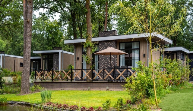 Modern Lakeview Cottage in Veluwe