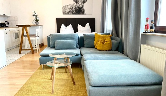 Modern, large 1-R apartment in a central location