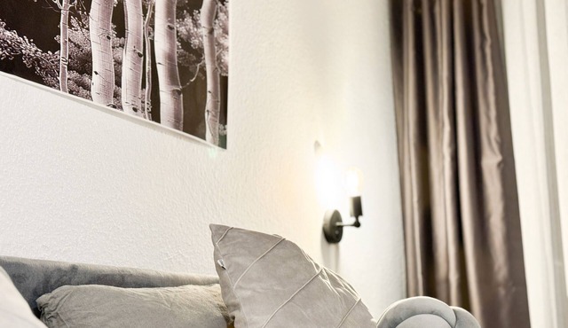 Modern living studio Karlsruhe frieden apartments